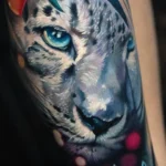 Snow leopard on the shin
