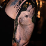 A cute bunny