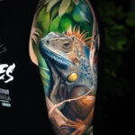 Iguana