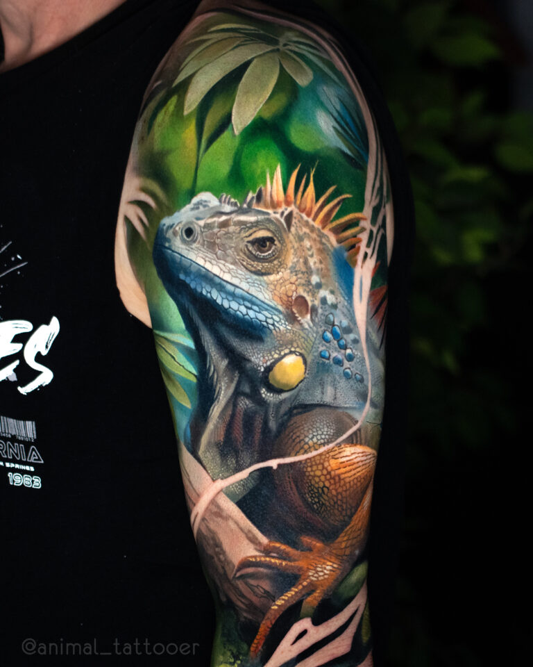 Iguana