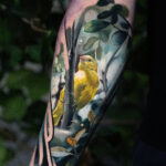 Canary