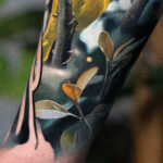 Canary
