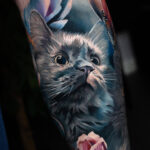 Dreaming cat