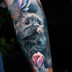 Dreaming cat