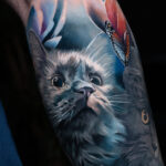 Dreaming cat