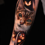 Cat portrait
