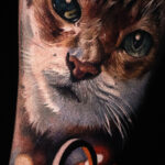 Cat portrait