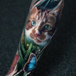 A reddish cat with butterfly