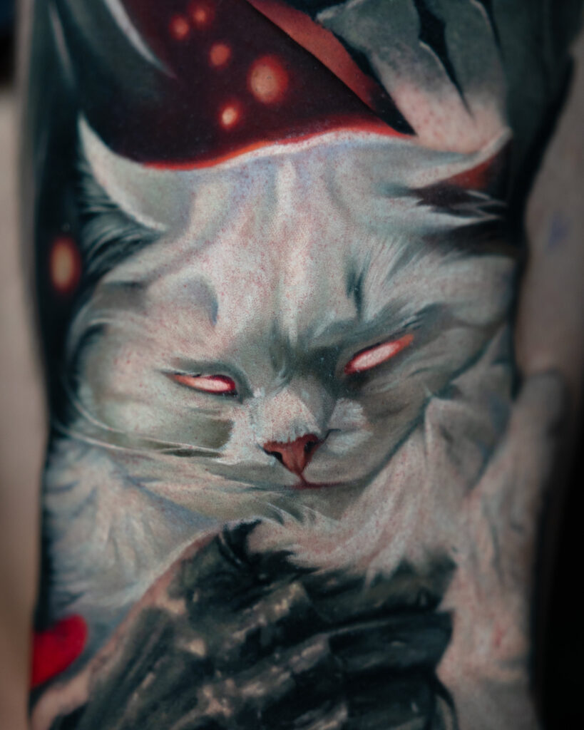 a white cat