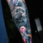 Dreaming cat