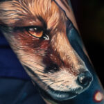 Fox on forearm
