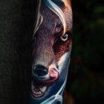 2 sides fox