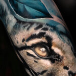 Ocelot 2