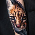 Ocelot