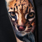 Ocelot
