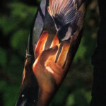 a bird on the hand