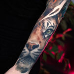 big cats sleeve