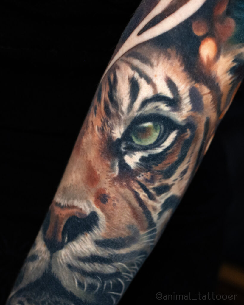 big cats sleeve