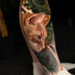 Orange kitty