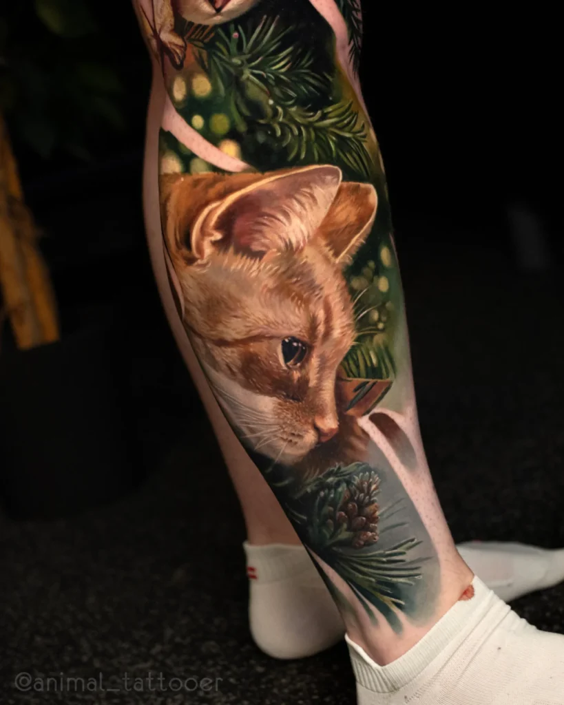 Orange kitty