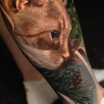 Orange kitty